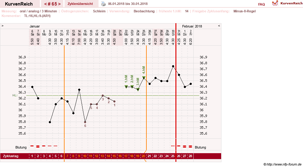 NFP-Kurve User #24156