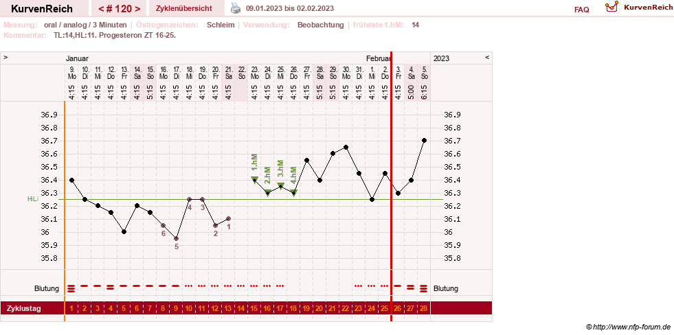 NFP-Kurve User #24156