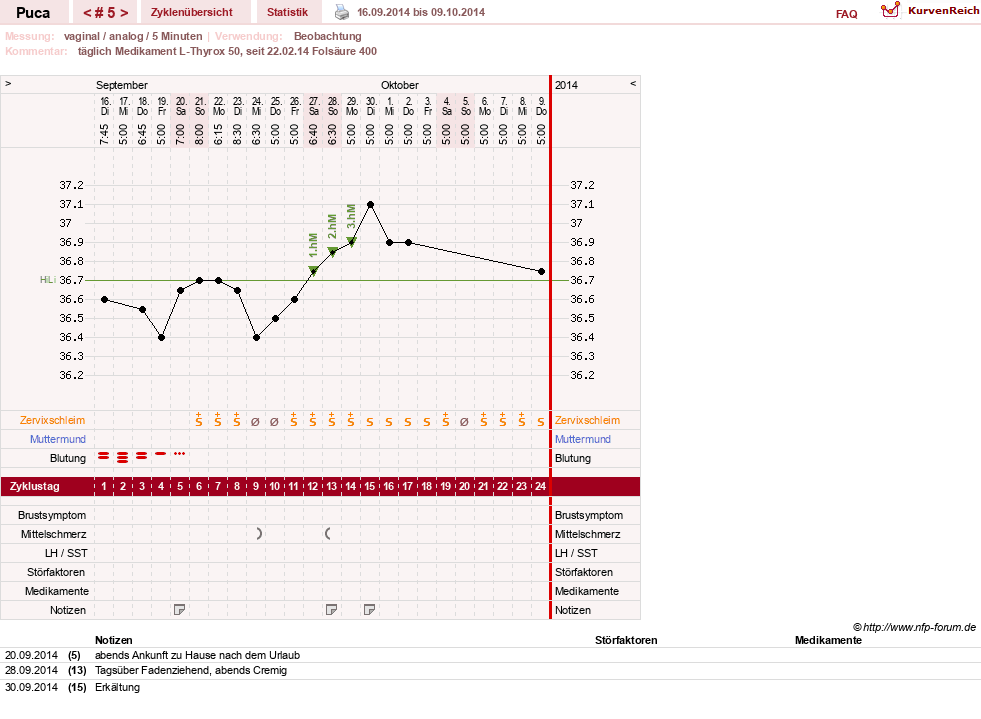 NFP-Kurve User #24619
