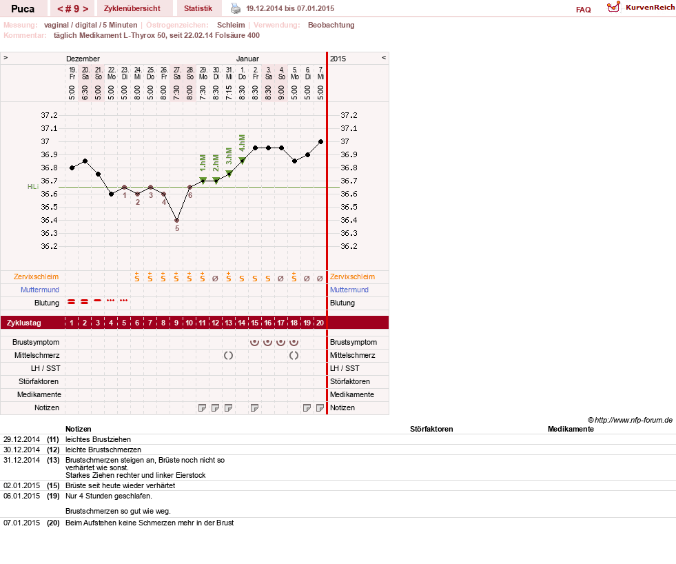 NFP-Kurve User #24619