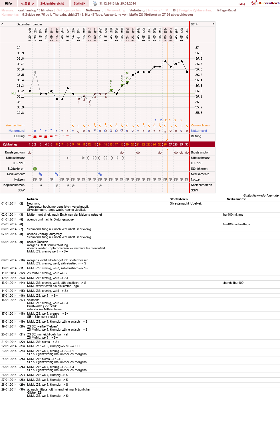 NFP-Kurve User #24928