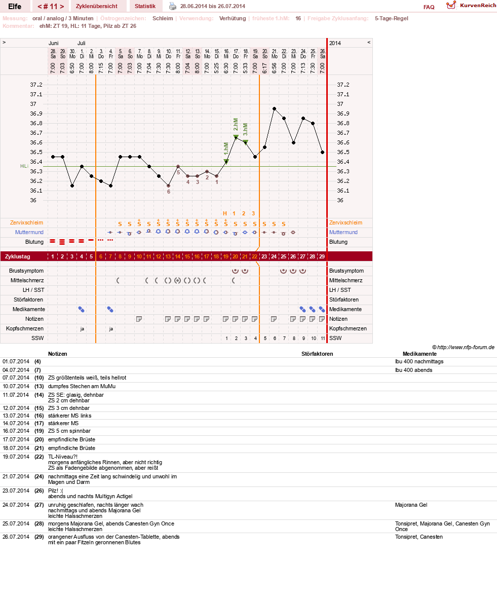 NFP-Kurve User #24928