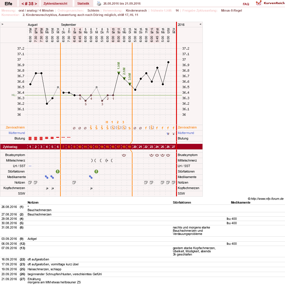 NFP-Kurve User #24928
