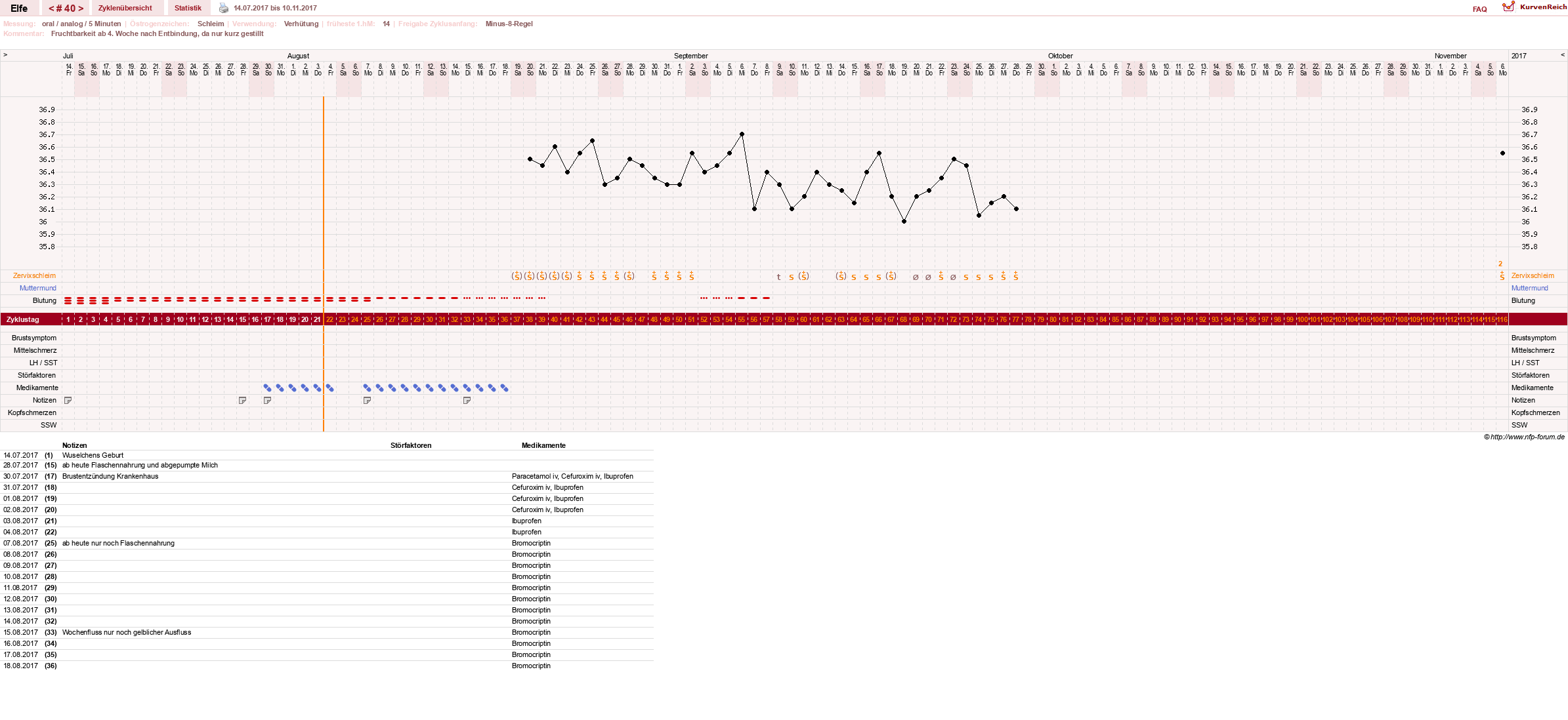 NFP-Kurve User #24928