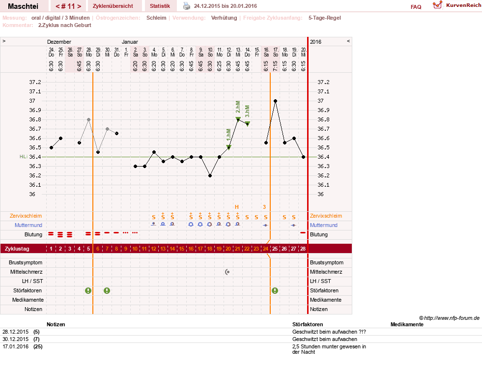 NFP-Kurve User #25702