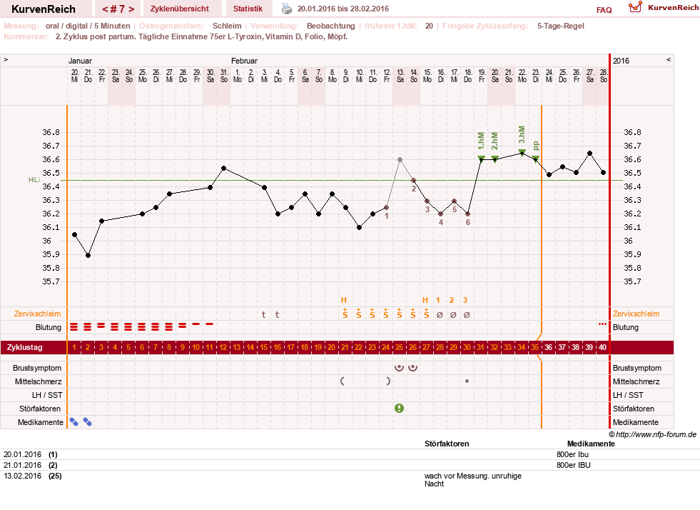 NFP-Kurve User #25900