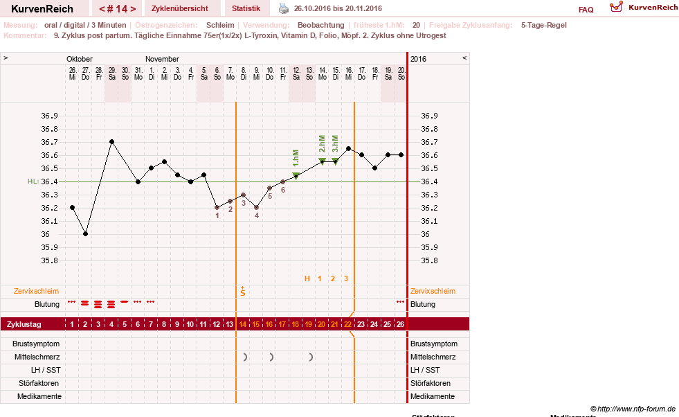 NFP-Kurve User #25900