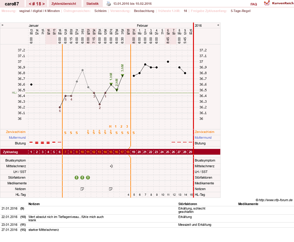 NFP-Kurve User #26580