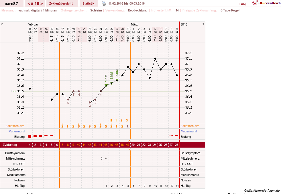 NFP-Kurve User #26580