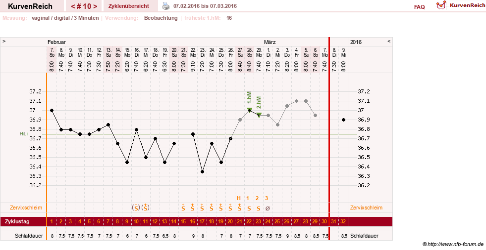 NFP-Kurve User #27863
