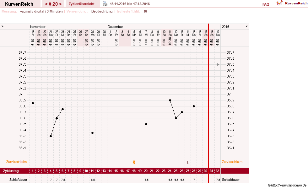 NFP-Kurve User #27863