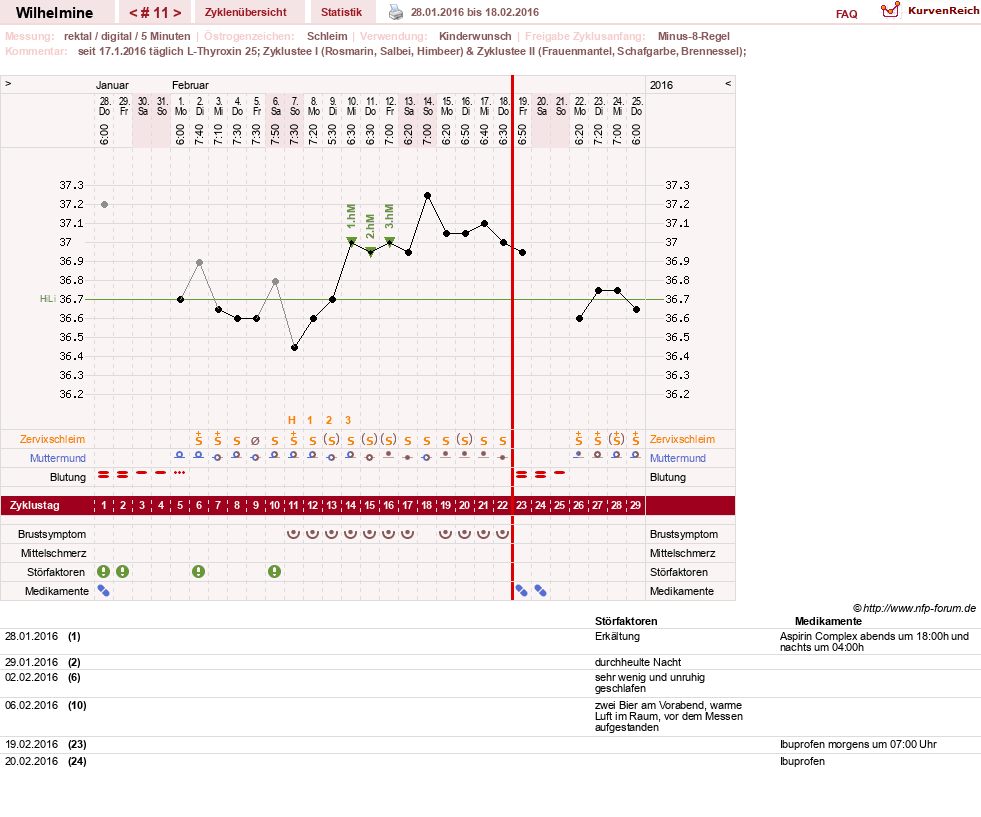 NFP-Kurve User #28188