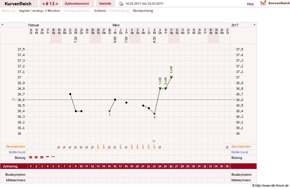 NFP-Kurve User #28365