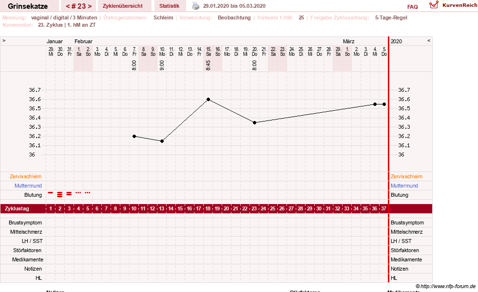 NFP-Kurve User #28867