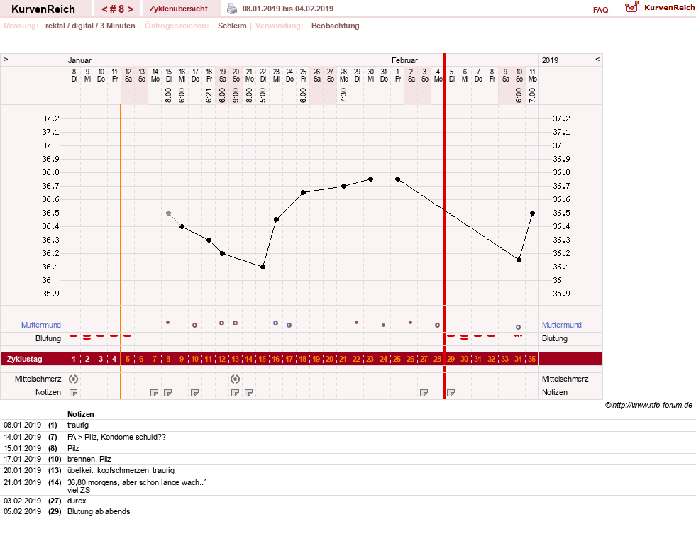 NFP-Kurve User #31021
