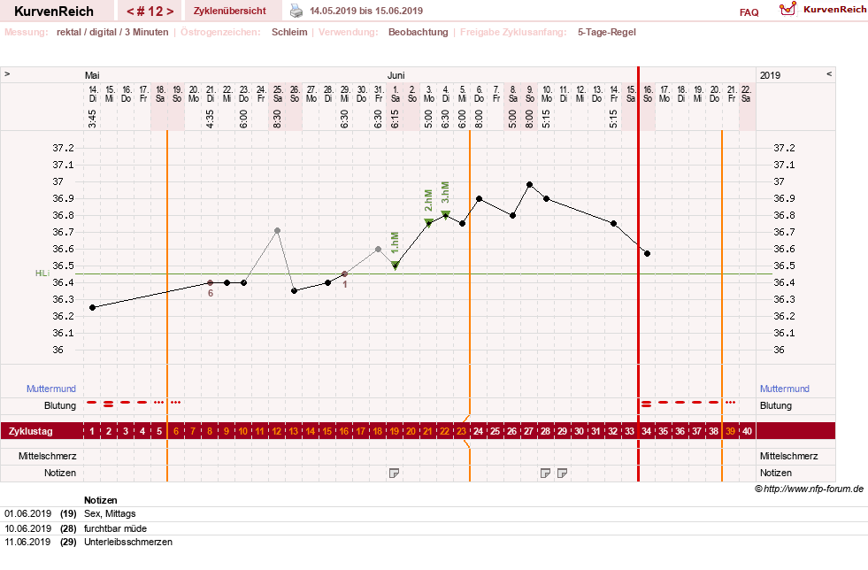 NFP-Kurve User #31021
