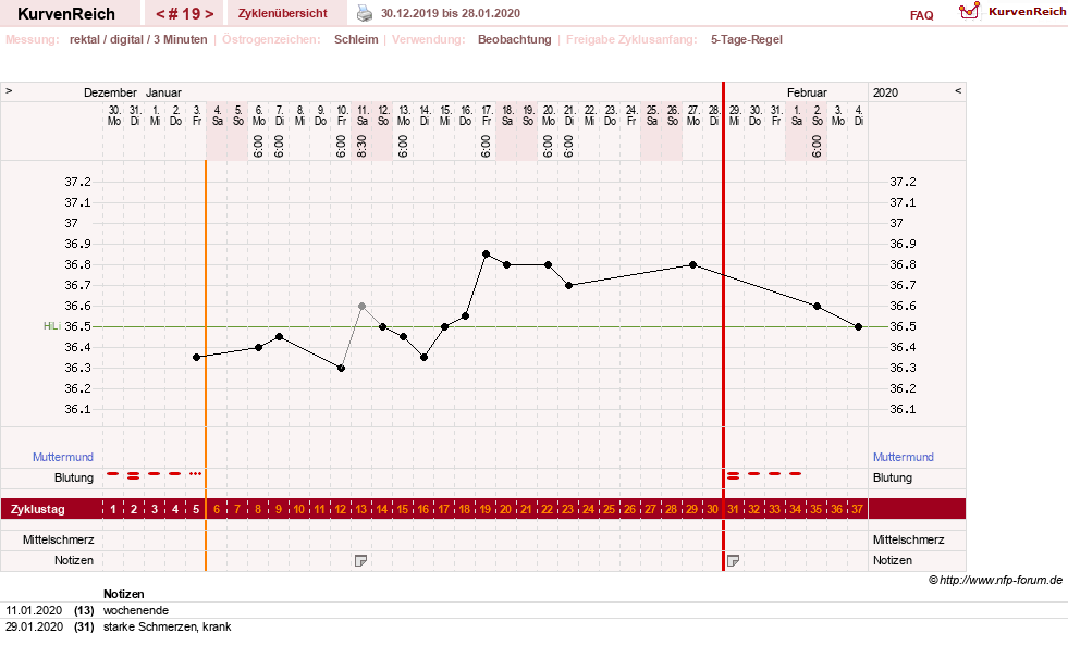 NFP-Kurve User #31021