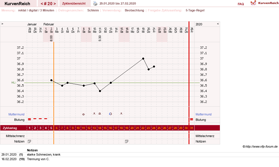NFP-Kurve User #31021