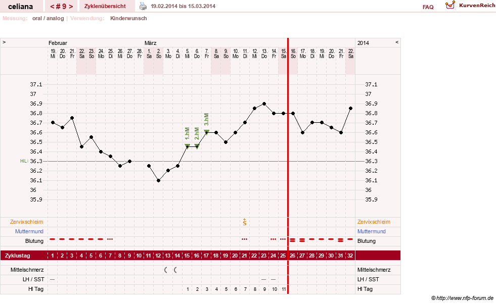 NFP-Kurve User #6200