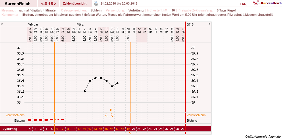 NFP-Kurve User #6740
