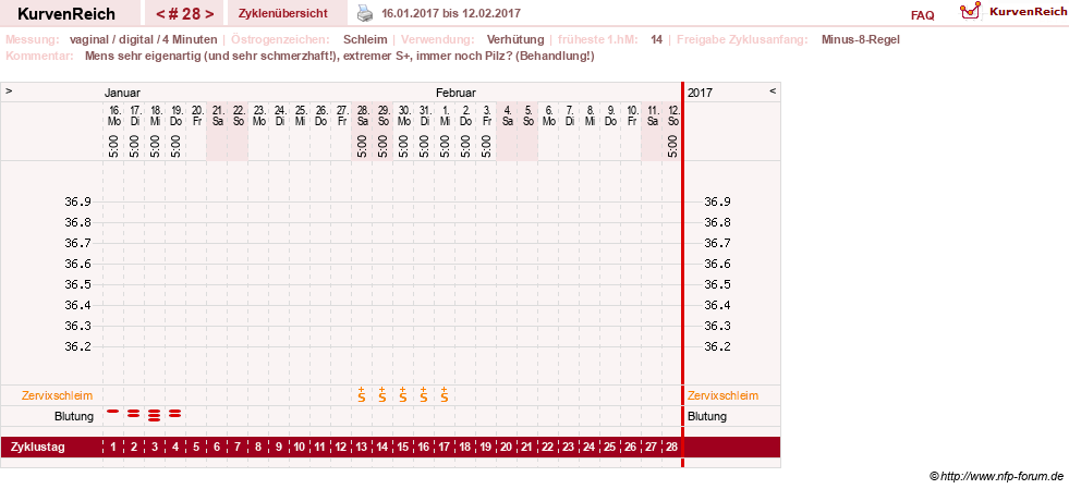 NFP-Kurve User #6740