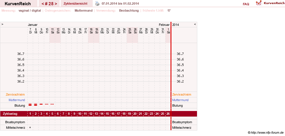 NFP-Kurve User #6881