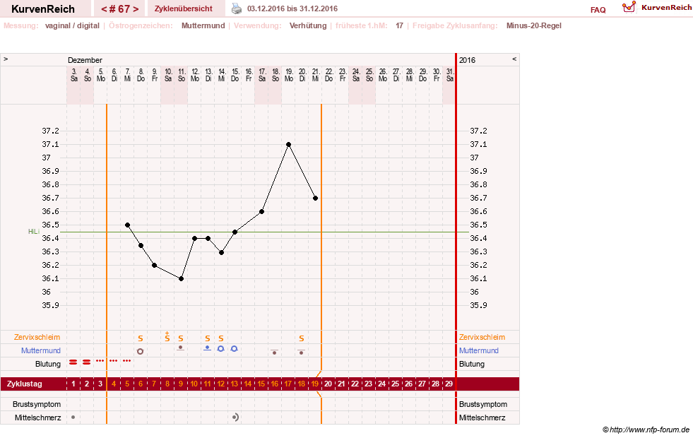 NFP-Kurve User #6881