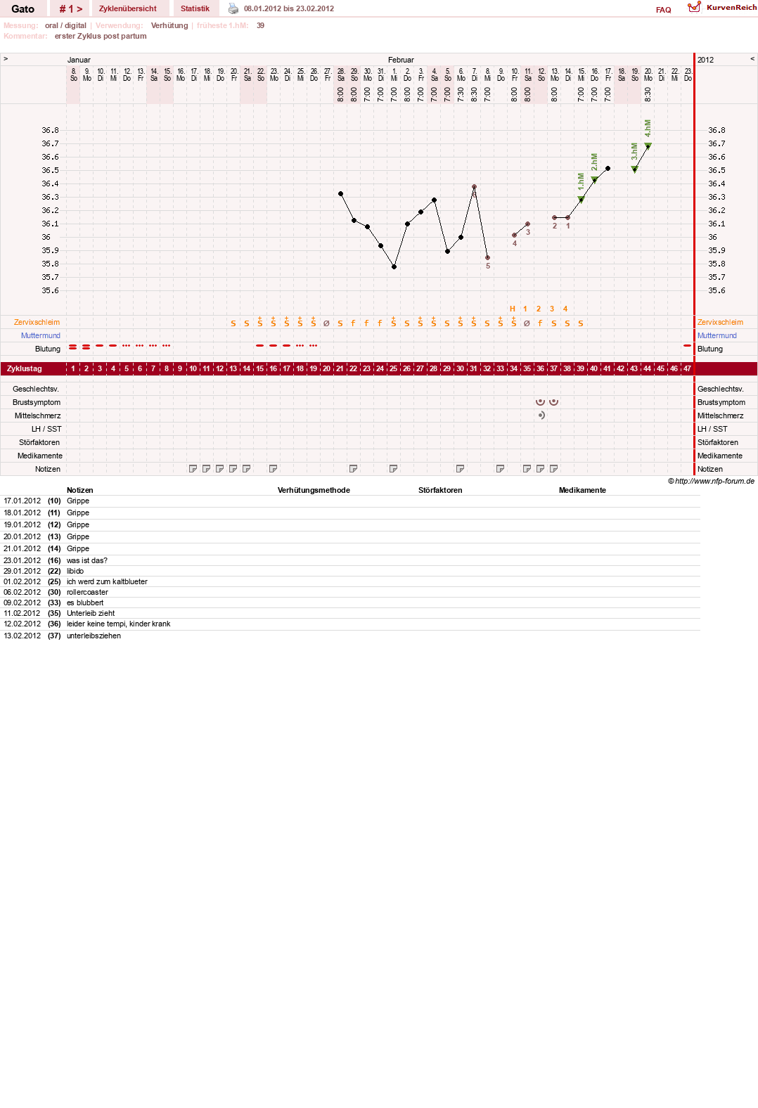 NFP-Kurve User #6984