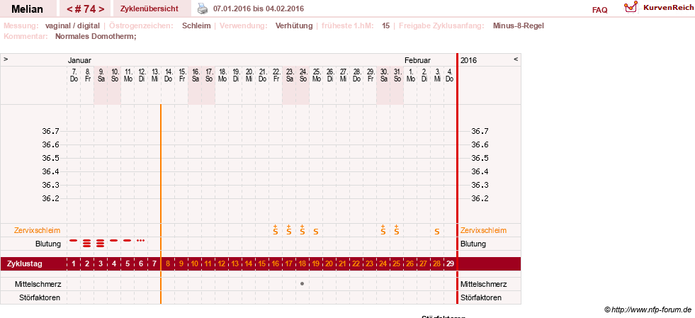NFP-Kurve User #7884
