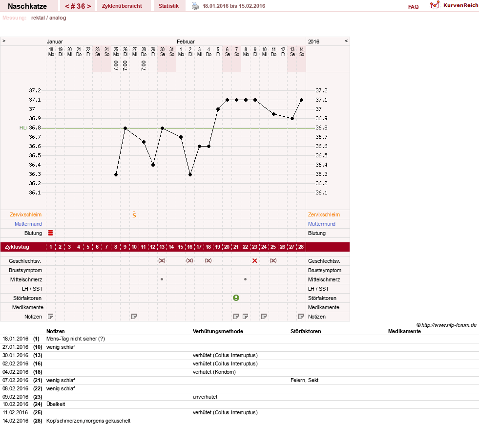 NFP-Kurve User #8202