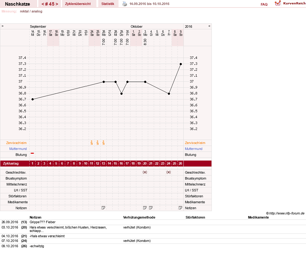 NFP-Kurve User #8202
